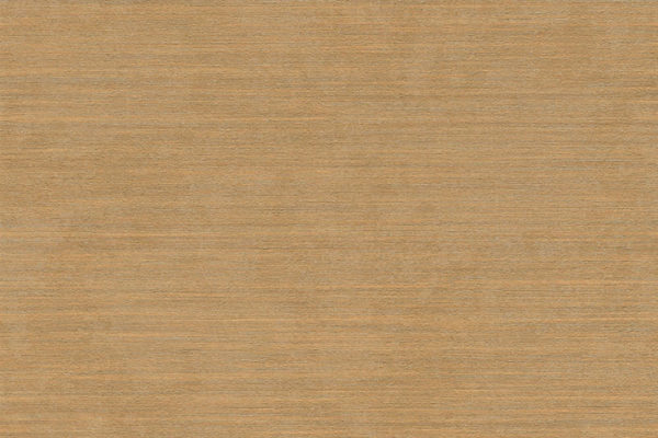 TITANIUM 2 (38)
