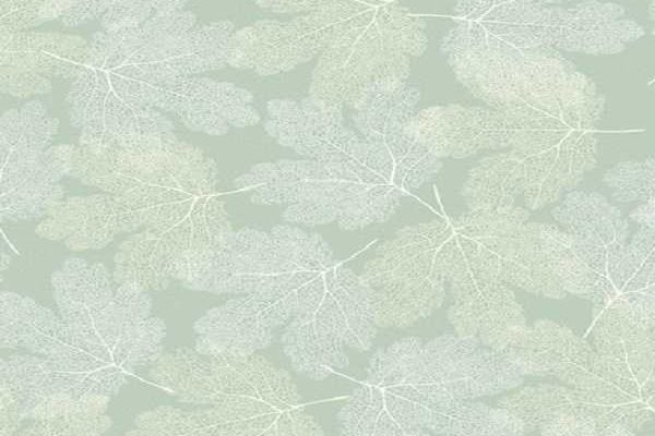 pg--25---a8040904